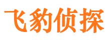 永新市侦探调查公司